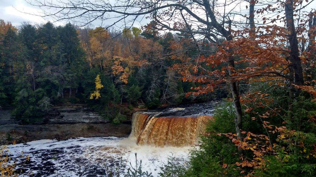 The Upper Falls at Tahquamenon Falls State Park. PC: Jaymie Depew