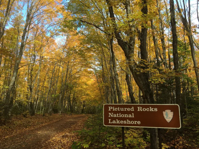 The road to Little Beaver Campground in the fall