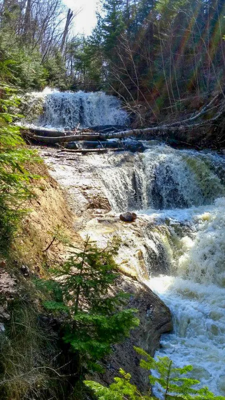 Leashed dogs are allowed at many places in the Pictured Rocks, including Sable Falls.