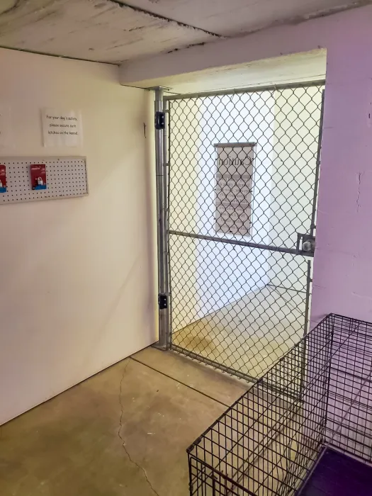 Onsite kennels are available at the Pictured Rocks Cruises’ office to lodge your dog during your boat tour.