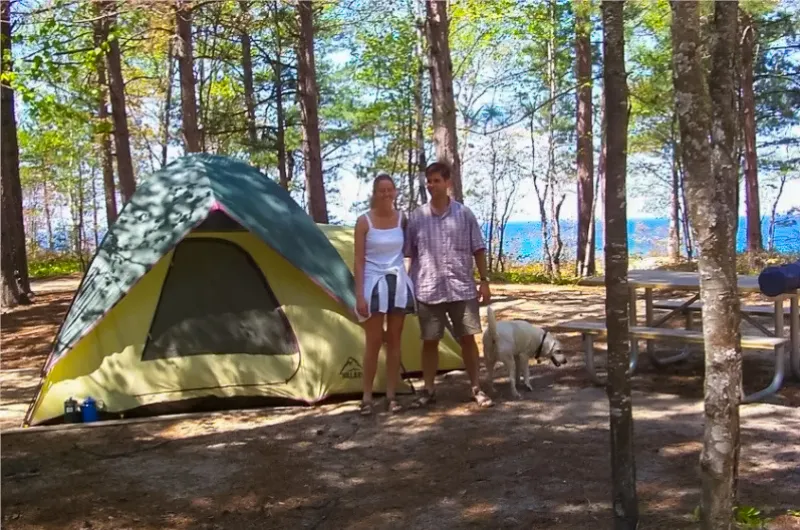 Dogs are welcome while camping at Twelvemile Beach Campground.