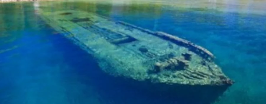 The Bermuda
